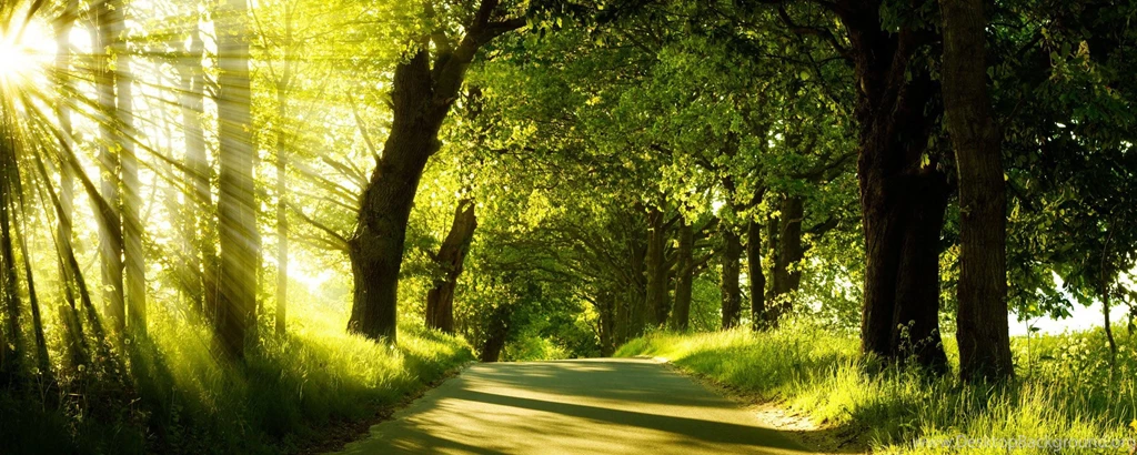 DualMonitorBackground.com » Nature