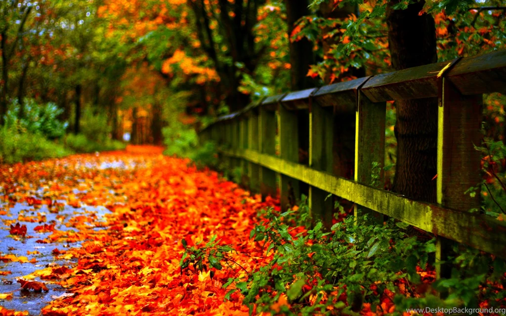 Autumn Leaves