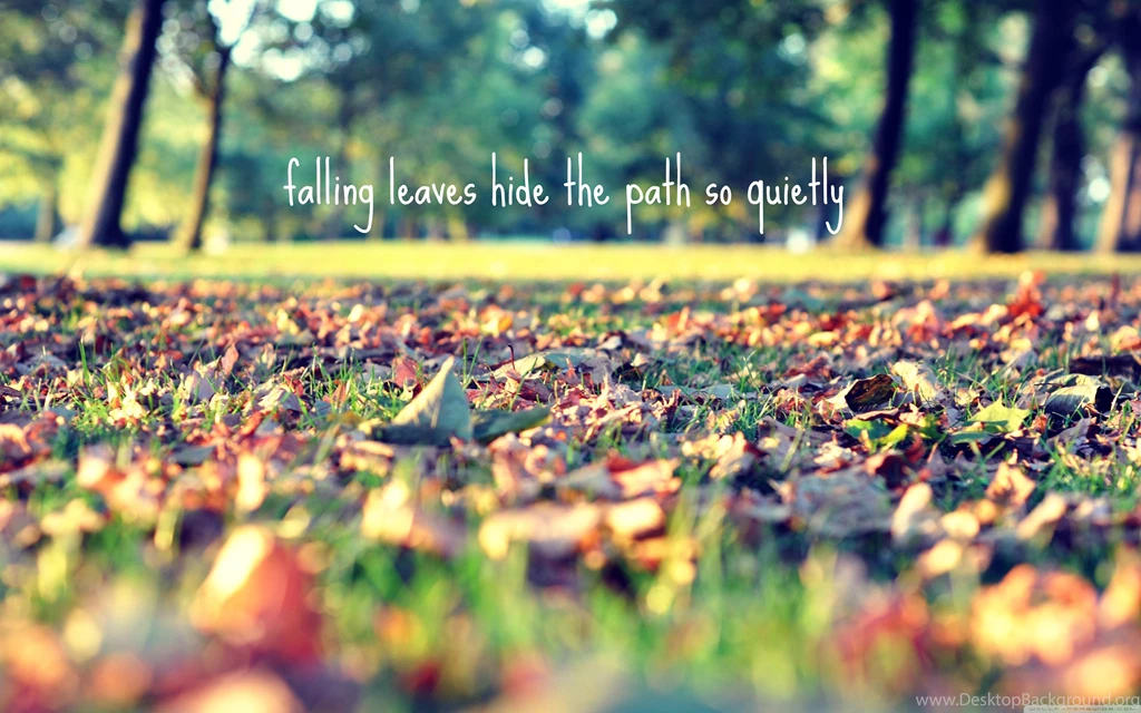 Download Falling Leaves Hide The Path So Quietly Wallpapers ...