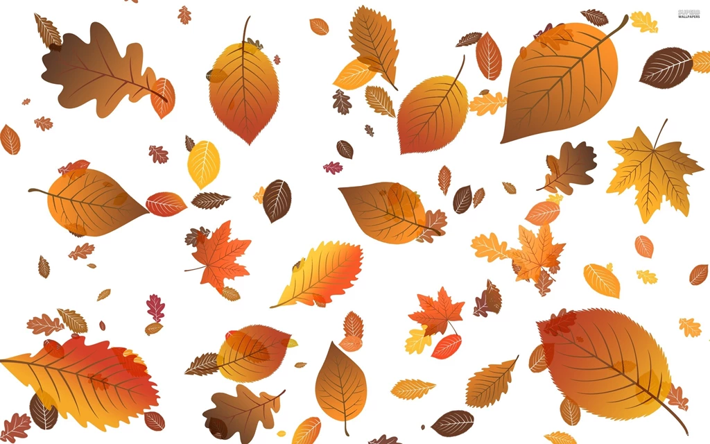 Falling Leaves : Desktop And Mobile Wallpapers : Wallippo