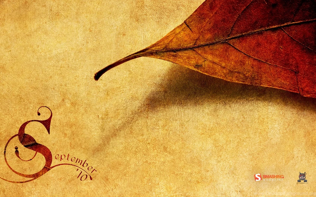 1920x1200 Autumn Paper Desktop PC And Mac Wallpapers
