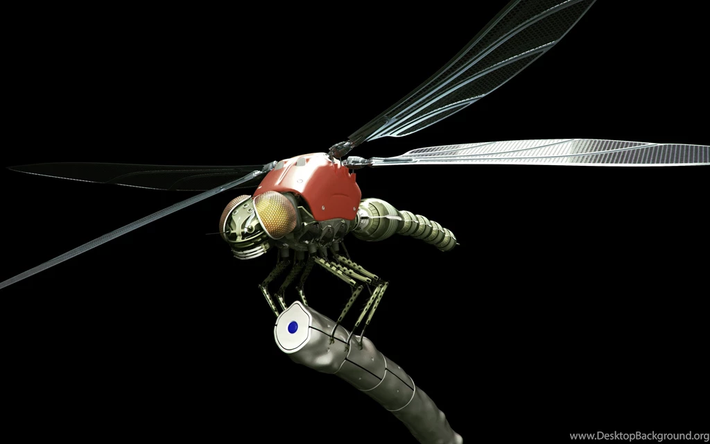 202 Dragonfly HD Wallpapers
