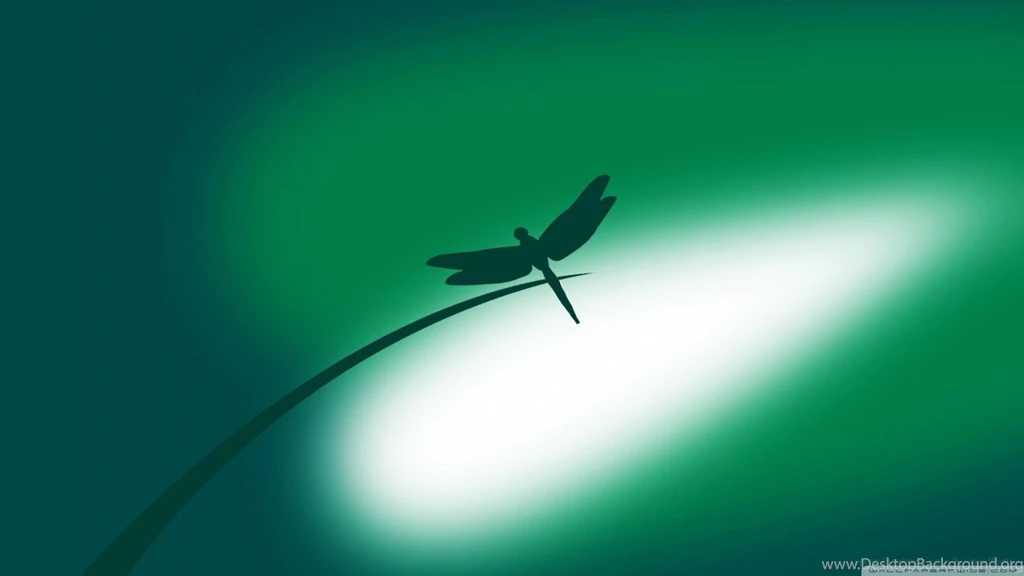 Green Dragonfly HD Desktop Wallpapers : High Definition