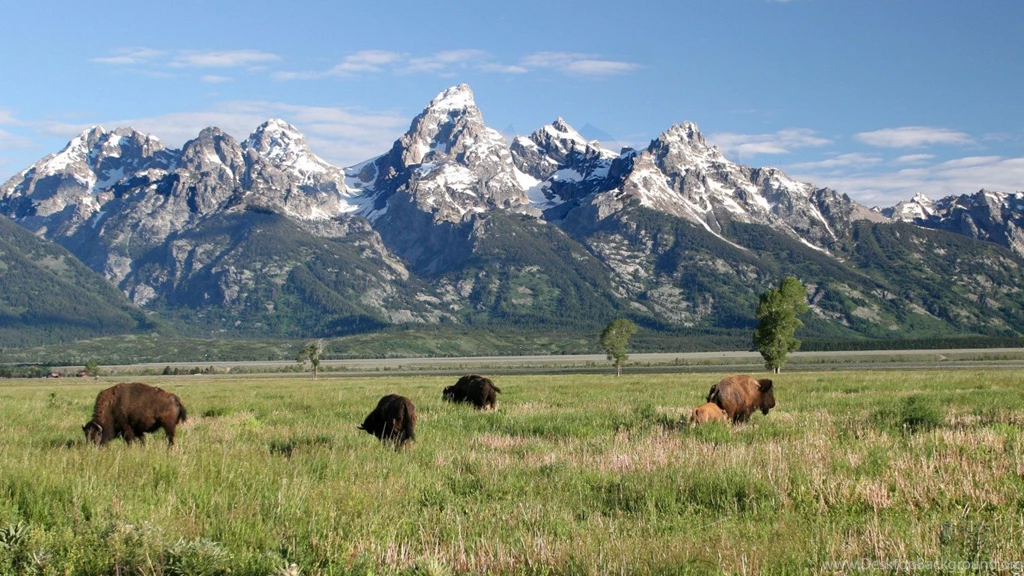 Wallpapers Yellowstone Parc National De Tats Unis Fonds D Cran ...