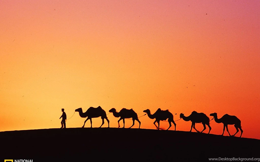 National Geographic Photo Contest 2010 Global Chin - Landscape ...