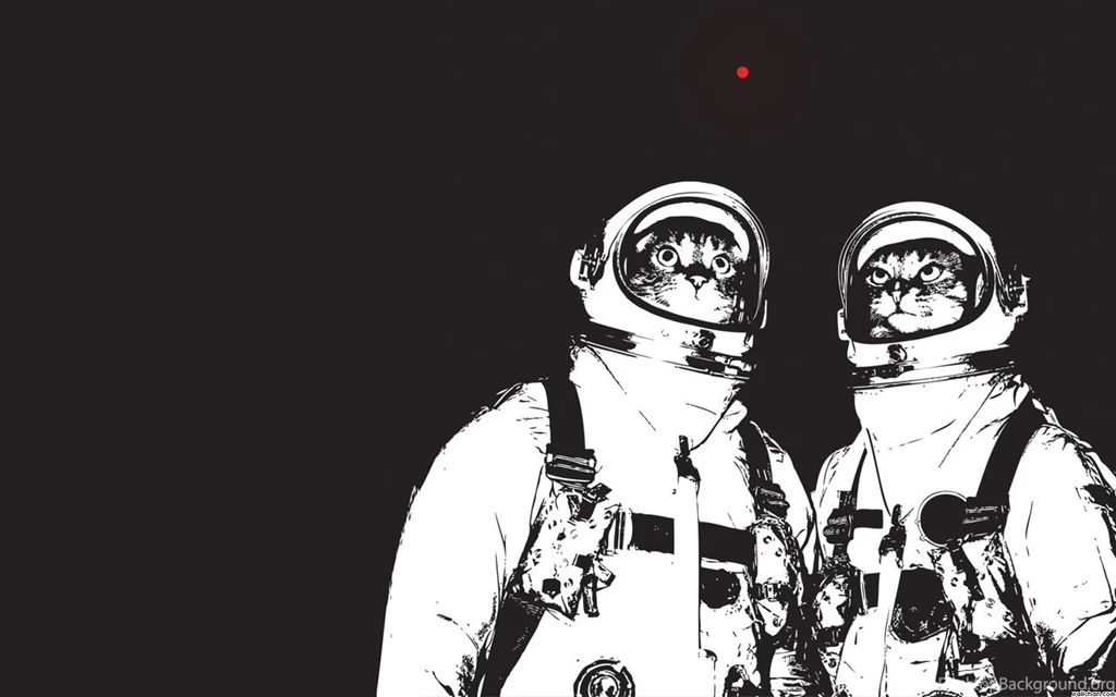 For Those Who Like Cats And Space And Wallpaper. Imgur