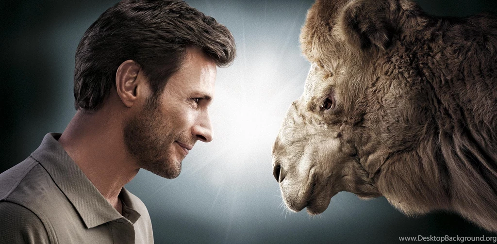 I Love A Camel >> HD Wallpaper, Get It Now!