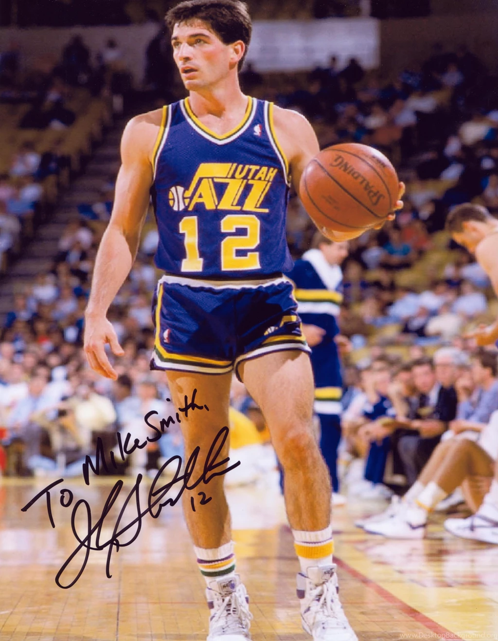 Computer Wallpapers, Desktop Backgrounds Plums, 184.44 KB