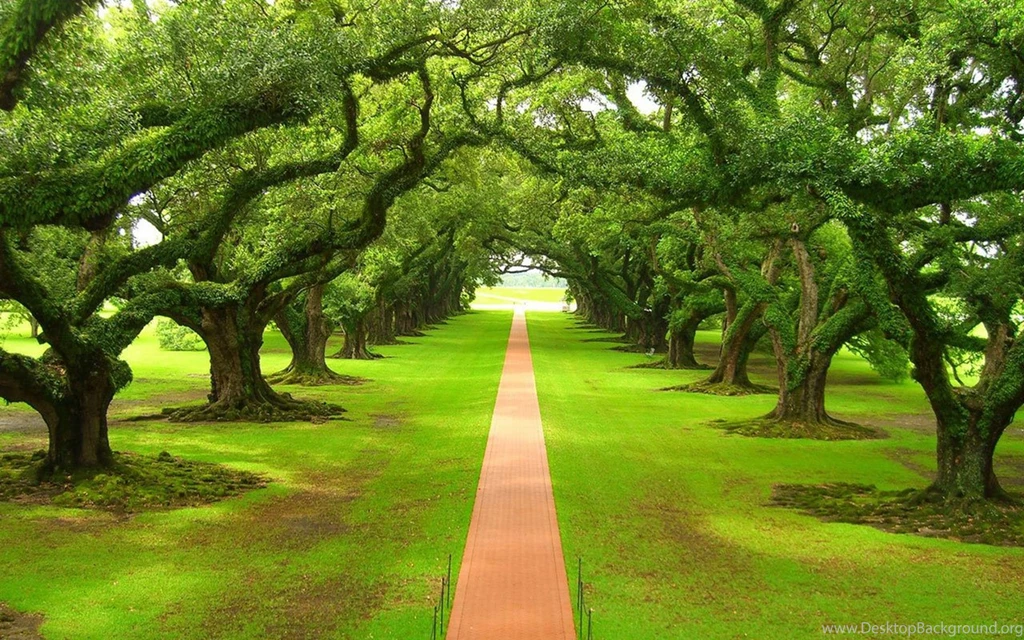 Beautiful Dreamy Street Road Scenery HD Photography Wallpapers 7 ...