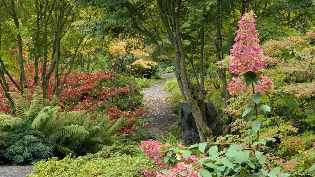 Nature And Landscape Wallpapers Free Download HD New Beautiful Images