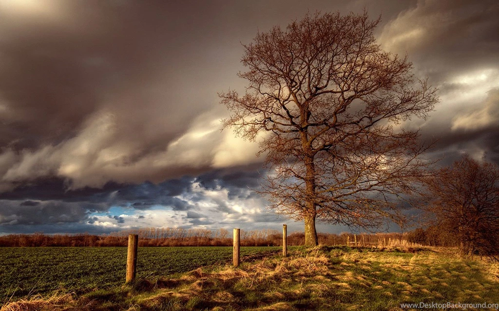 Holstein Beautiful Landscape Photography Wallpapers 8 - Landscape ...