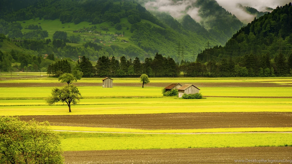 Green Meadows Beautiful Landscape Wallpapers HD Download