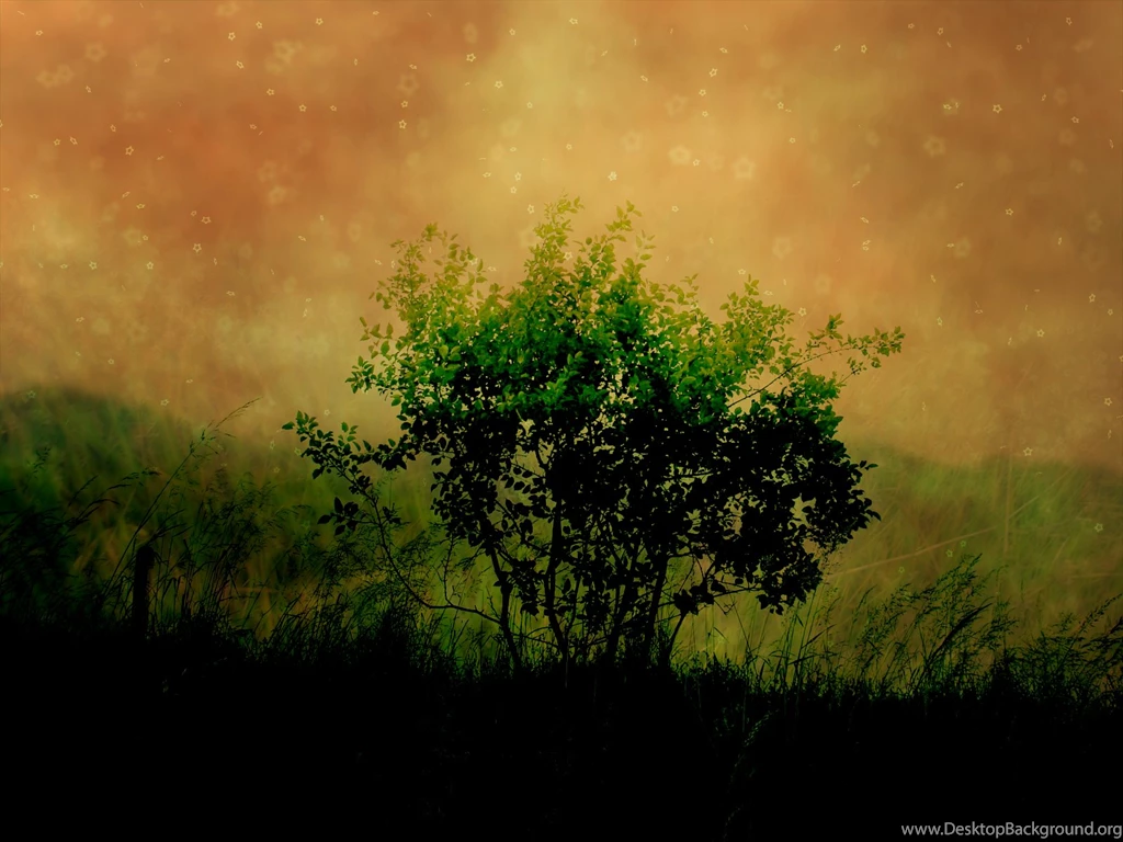 Ubuntu Wallpapers 3 Best Wallpapers Collection
