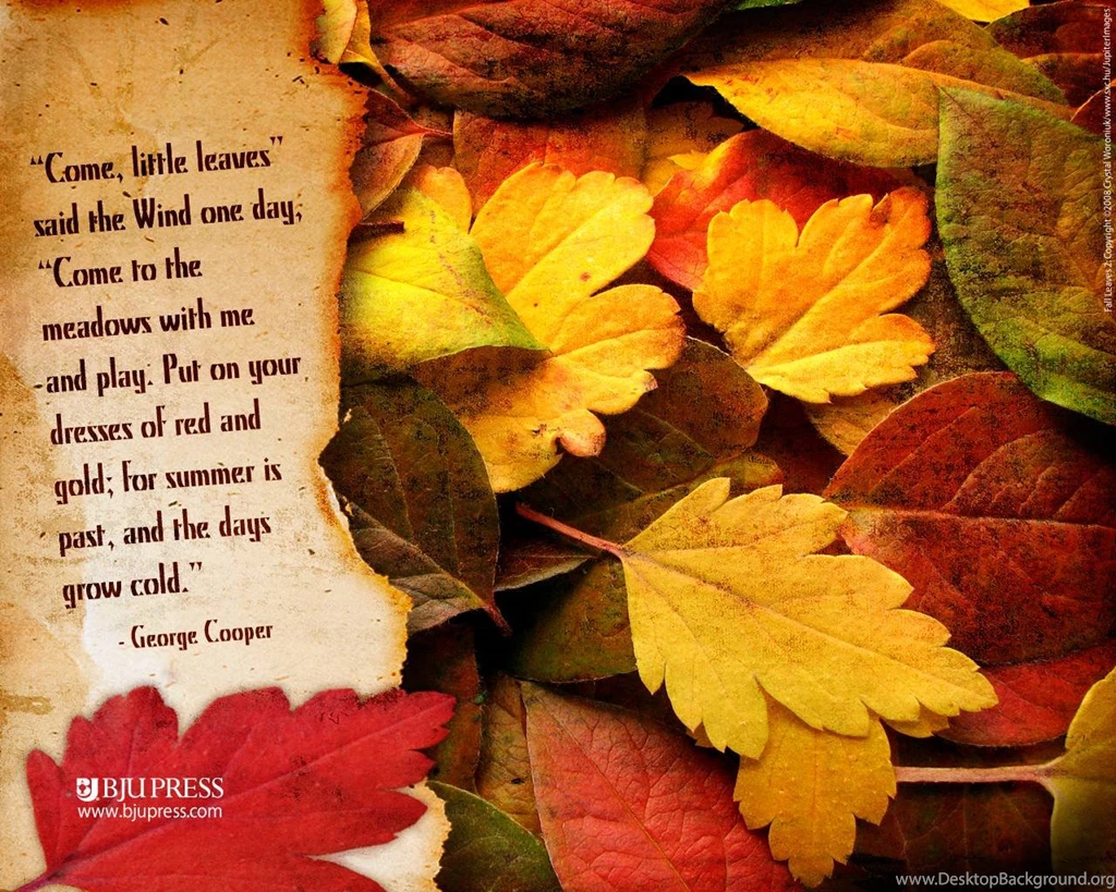 Wallpapers Autumn Leaves Wallpapers Cave