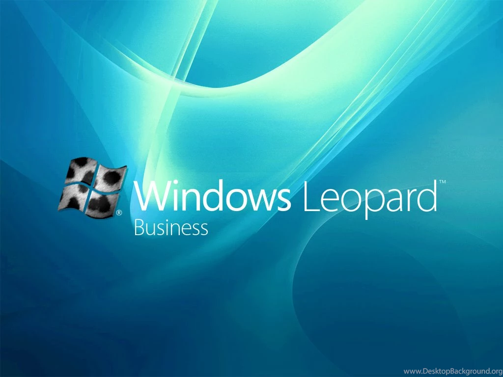Fractal Leopard Hd Desktop Backgrounds Hd Wallpapers