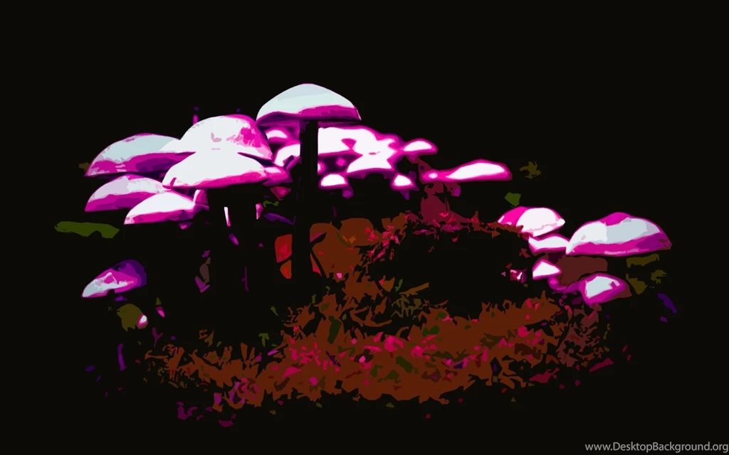 Most Viewed Mushroom HD Wallpapers