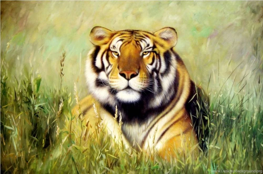 Cats: Tina Bruno Picture Tiger Year Animal Painting Art Wallpapers ...
