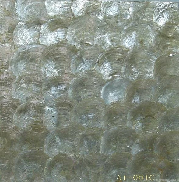 Shell Tile Products DIYTrade China Manufacturers Suppliers Directory
