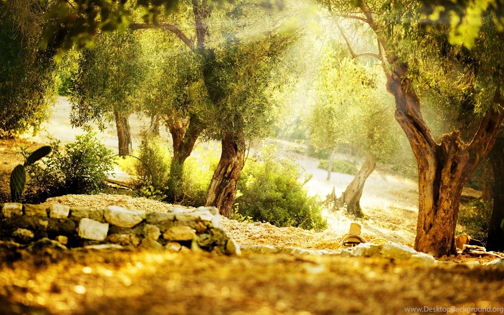 Garden Wallpapers Mature   Wallpapers