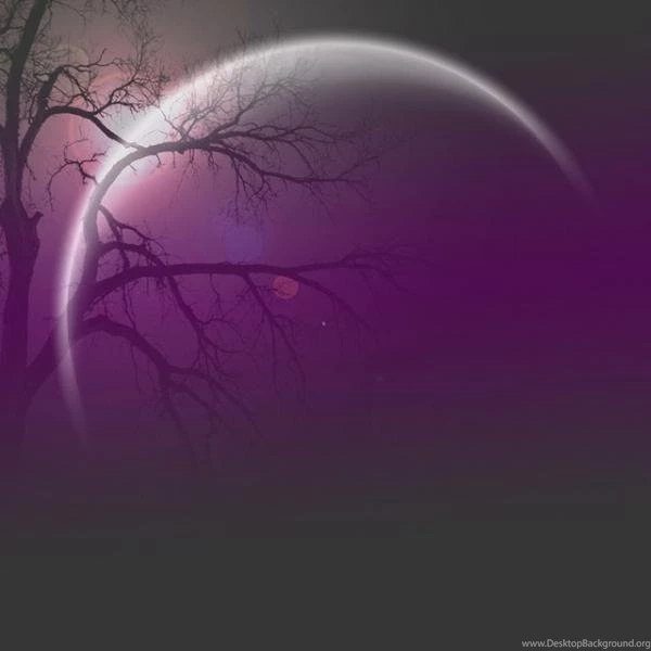 Pretty Backgrounds Picture   Wallpapers Zone