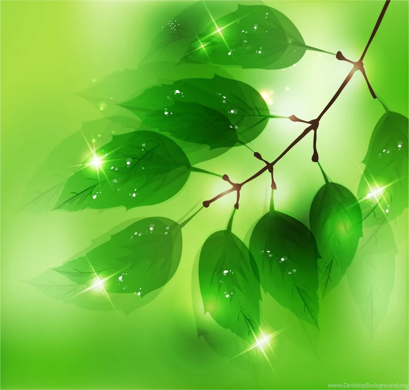 Nature Backgrounds With Free Vector Download