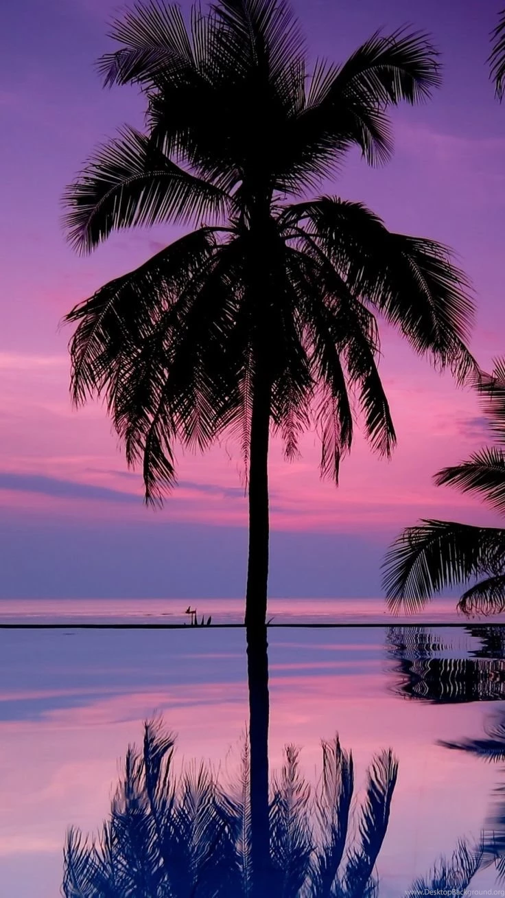 Samsung Galaxy S6 Wallpapers On Pinterest