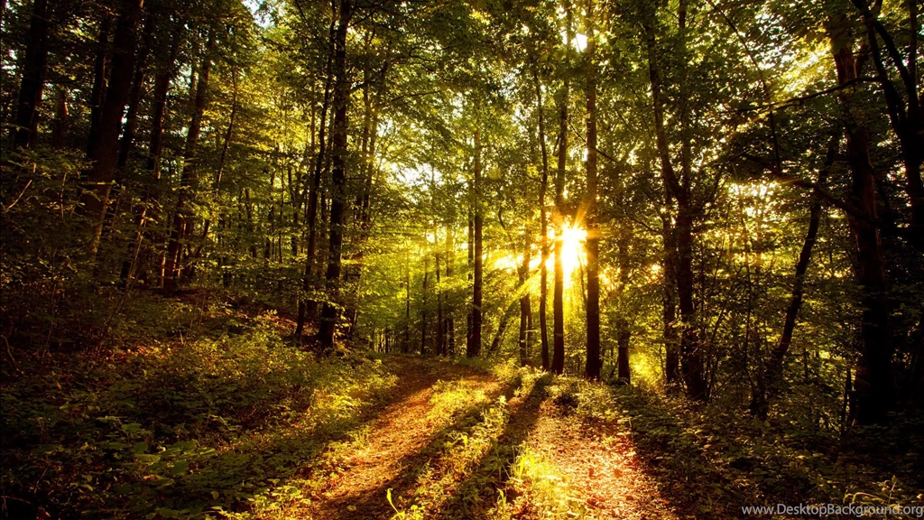 Cool Nature HD Wallpapers