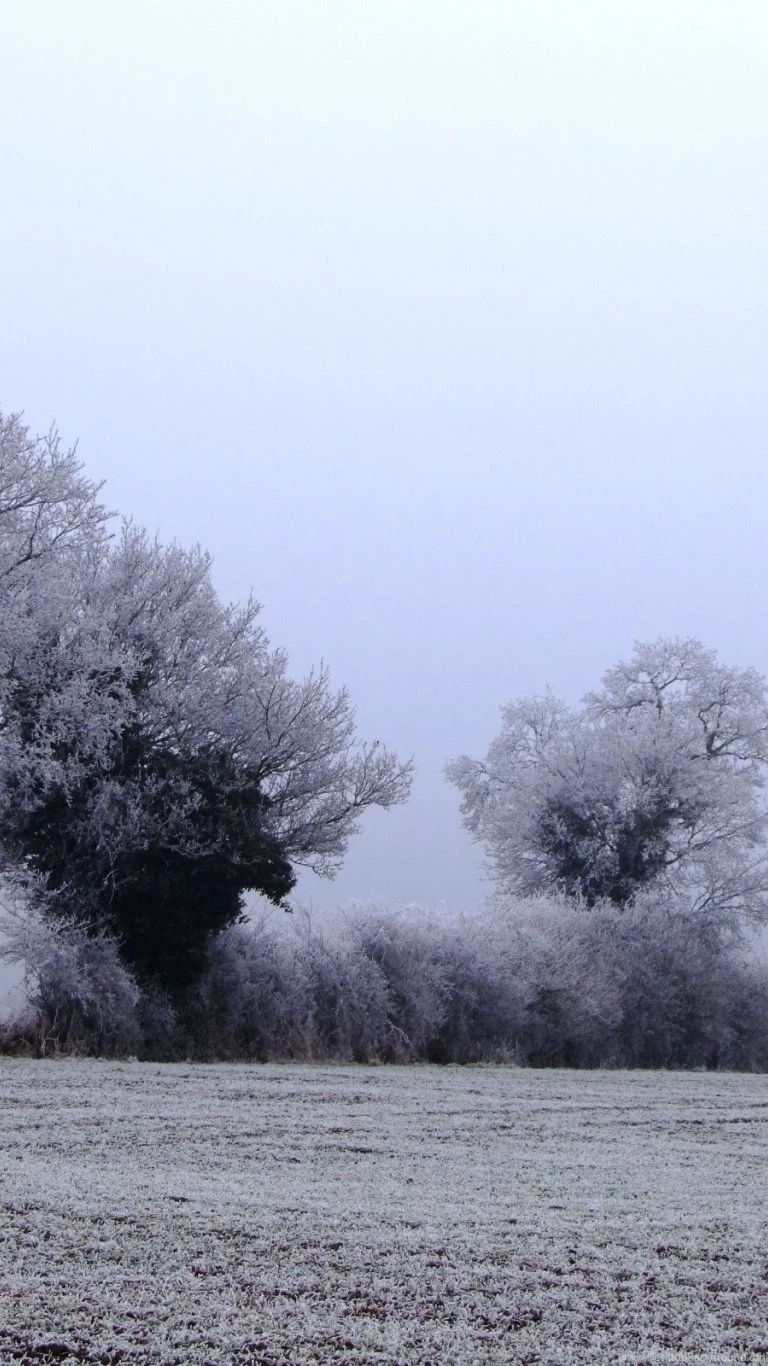 768x1366 Winter Field Surface Rt Wallpapers