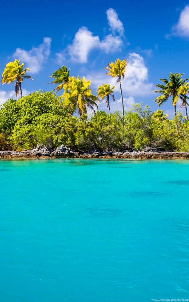 Exotic Blue Lagoon Android Wallpapers