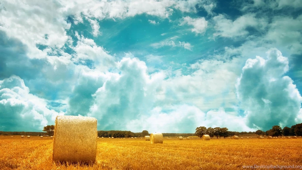 Trololo Blogg: Wallpapers 768x1366