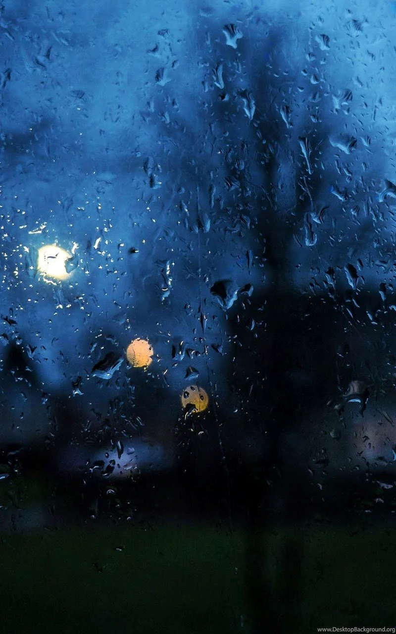 Rainy Day Window Bokeh Android Wallpapers