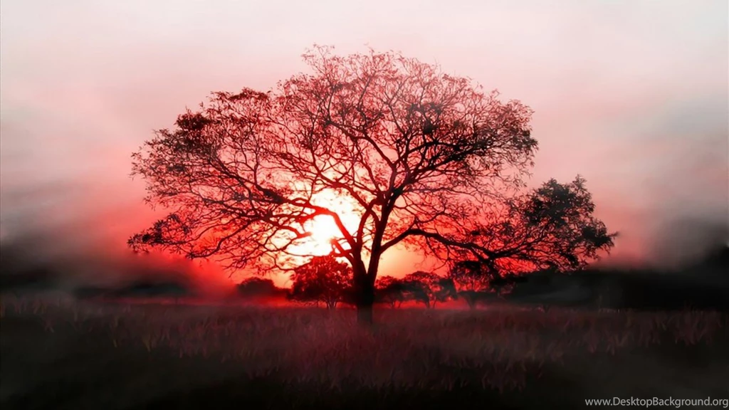 Red Tree Wallpapers