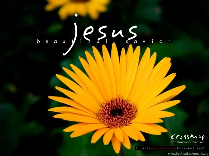 He Loves Me, He Loves Me Not?