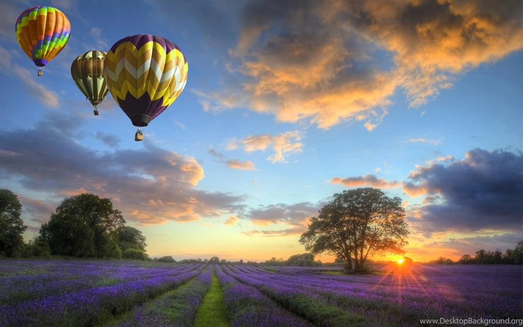 Hot Air Balloon Lavender Wallpaper, HD Wallpapers Downloads