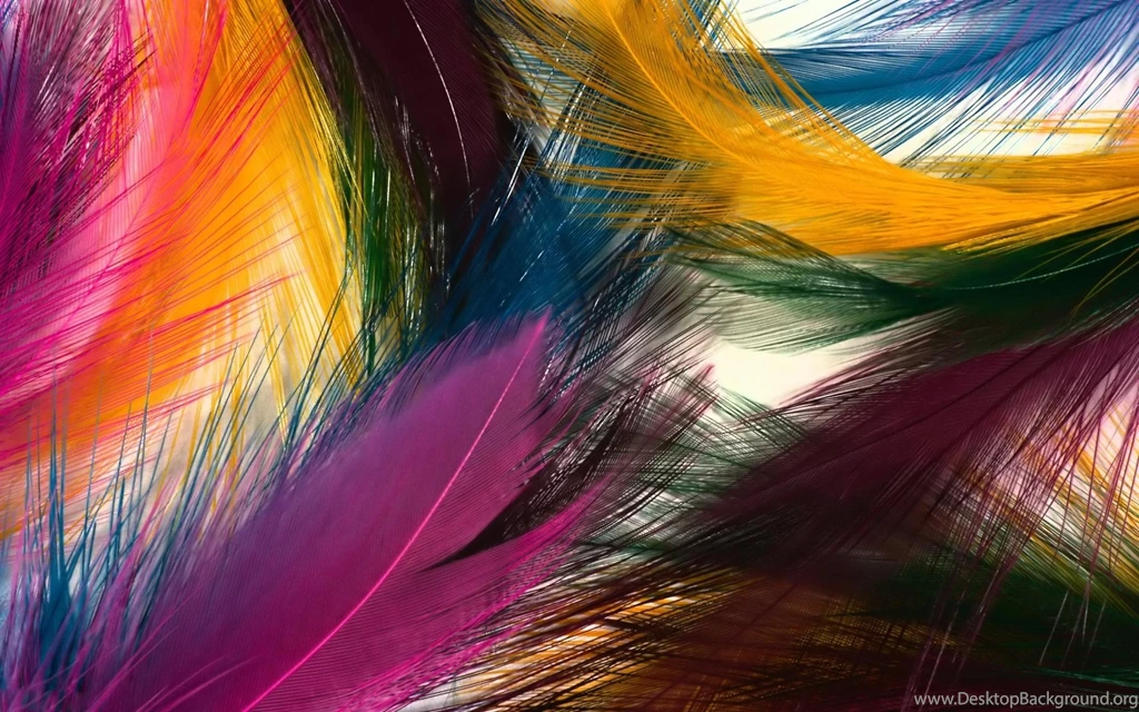 22 Peacock Feather High Quality HD Wallpapers 992 :: Peacock ...
