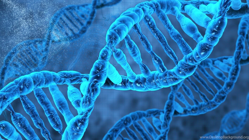 DNA HD Wallpapers HD Images New