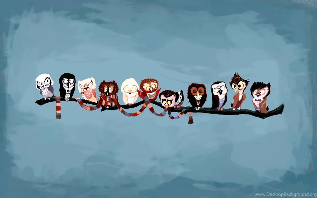 Owl Funny Wallpapers