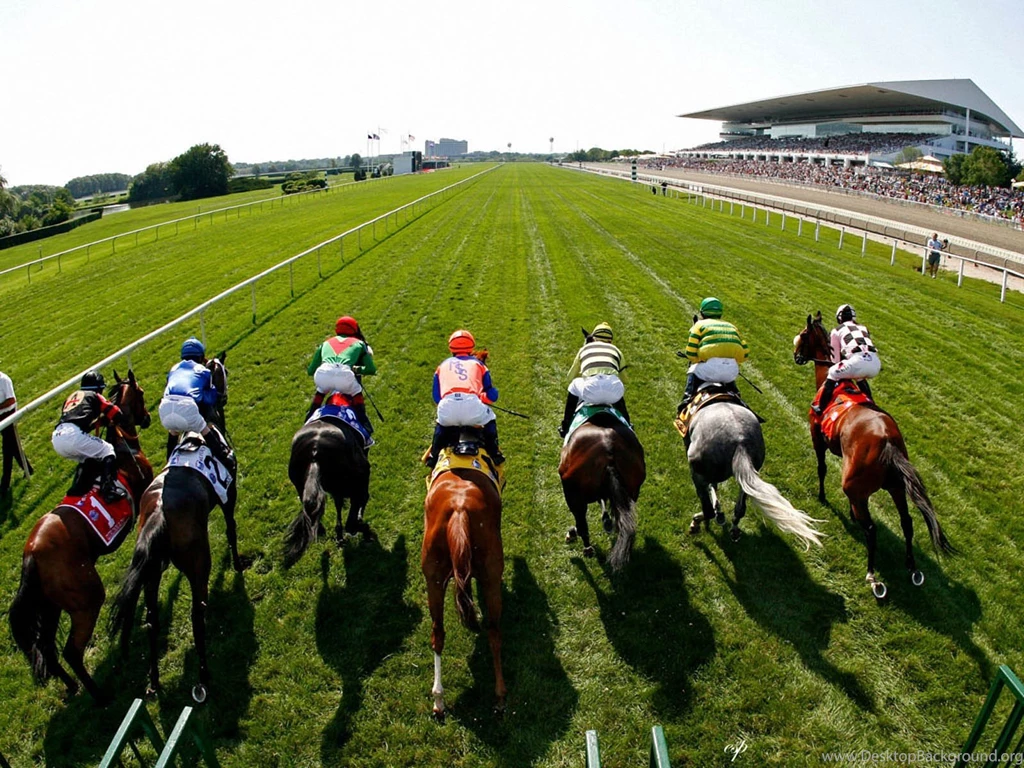 Horse Racing ArlingtonTurf.jpg