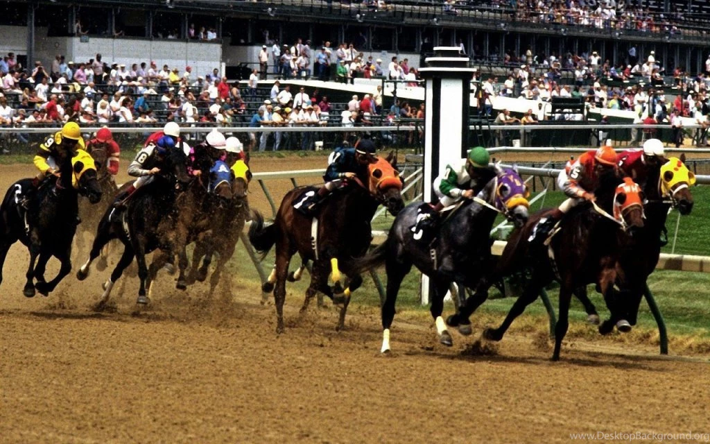 Horse Racing Results Saratogahorse Racing Wallpapers Wallpapers ...