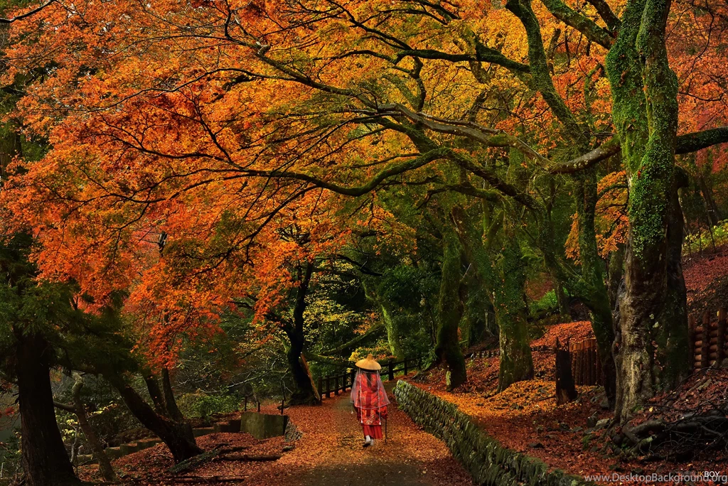 25+ Autumn Wallpapers, Backgrounds, Images, Pictures