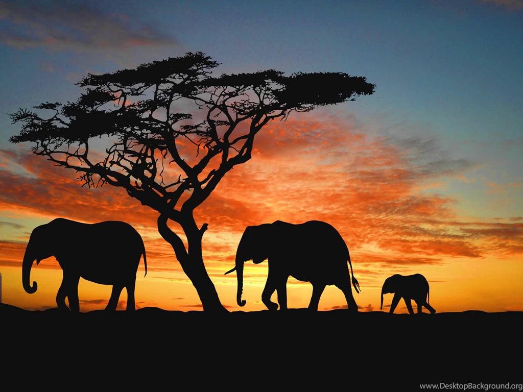 Family Of African Elephants Wallpaper. Elephant Desktop ...