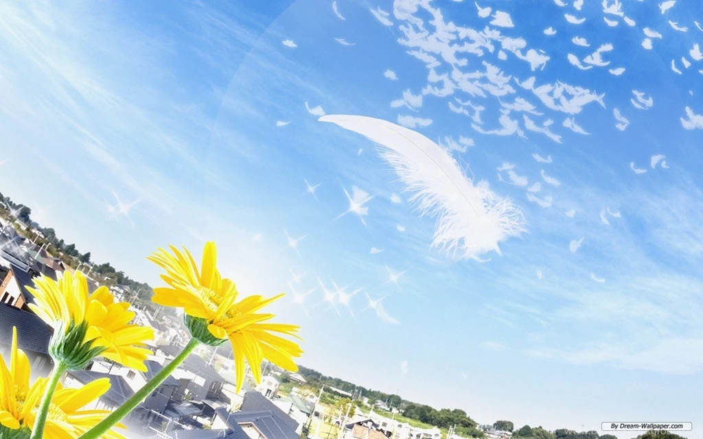 Wonderful Wallpapers