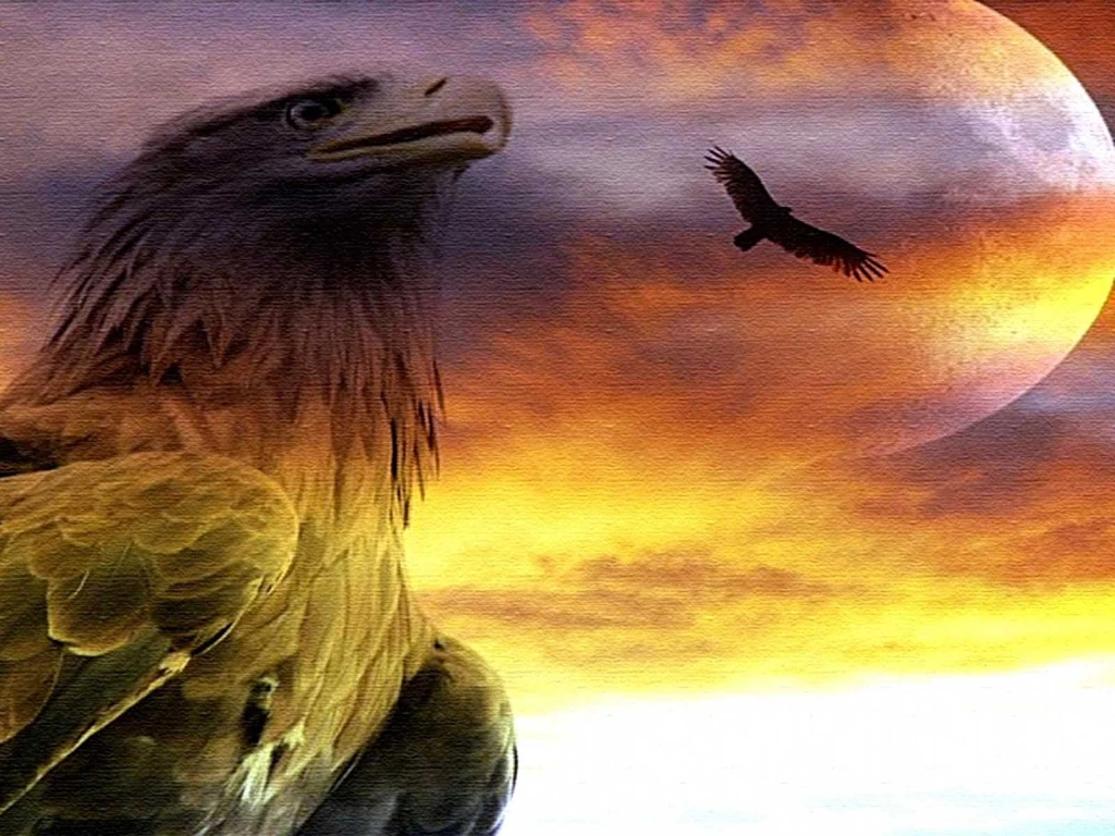 Eagle, Sunset, Hd, Wallpapers
