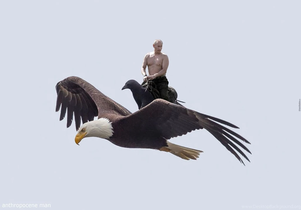 Putin Rides A Crow Who Rides An Eagle Wallpapers