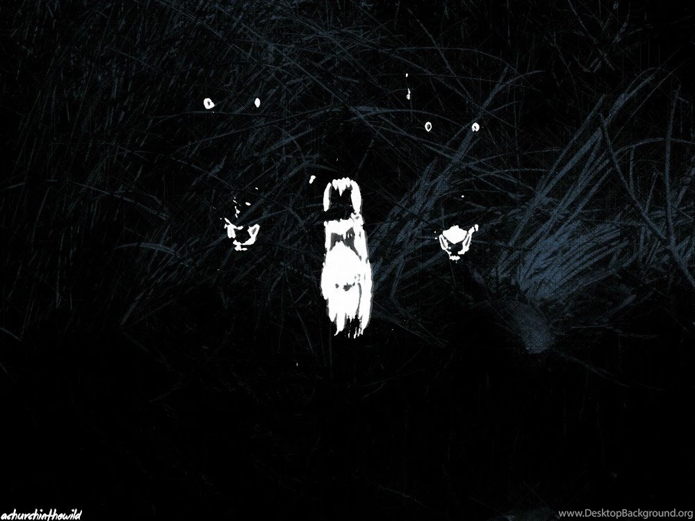 MY Black Skinhead, I Am A God, & See You In My Nightmares, Artwork ...