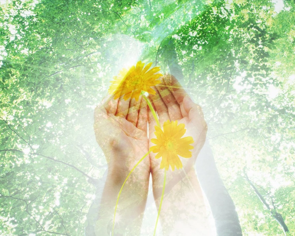 Free Beautiful Hands And Pray Backgrounds For PowerPoint ...