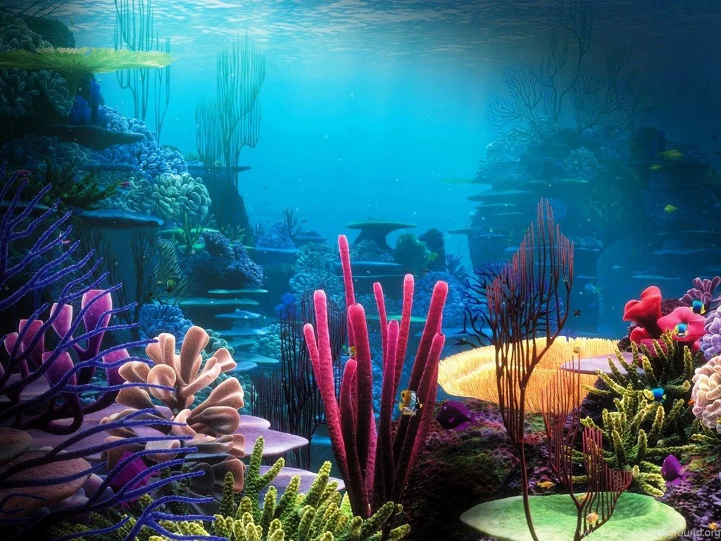 Coral Reefs