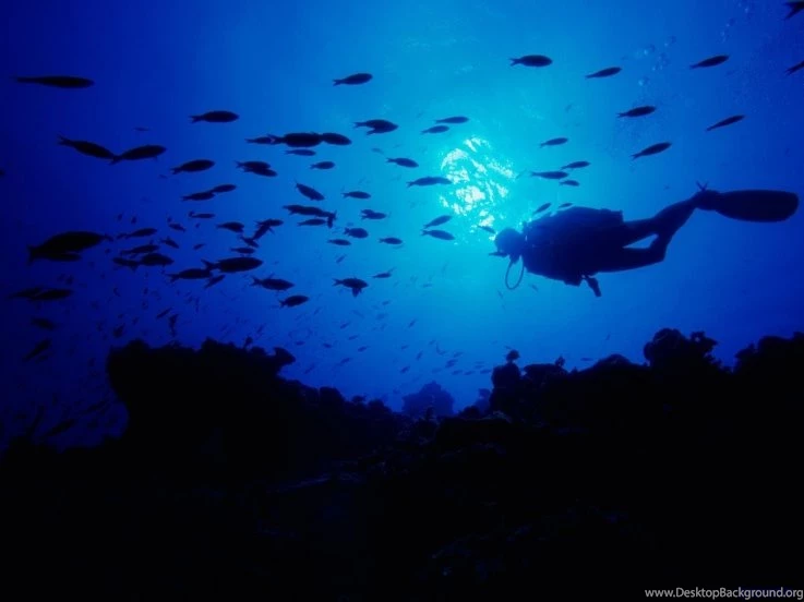 400x302px Deep Ocean Wallpapers For Free 11.4 KB
