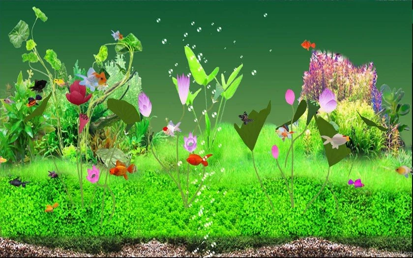 Download Digital Goldfish Screensaver At Free Download 64 (Screen ...
