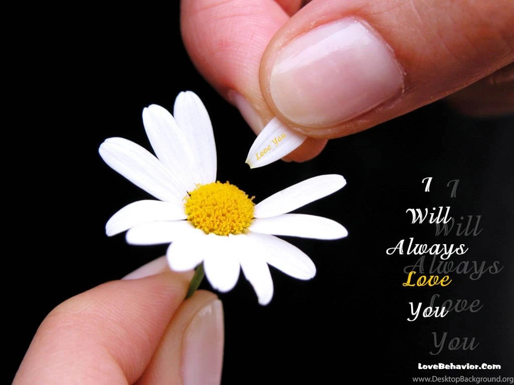 Love Wallpapers, Cute Lovely Desktop Backgrounds, Lovely Heart ...